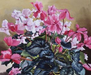 Cyclamen, 2004 (w/c on paper) | Obraz na stenu