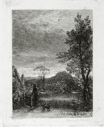 The Skylark (etching) | Obraz na stenu