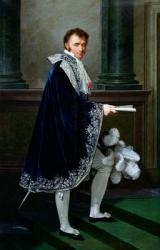 Portrait of Francois-Nicolas Mollien (1758-1850) 1806 (oil on canvas) | Obraz na stenu