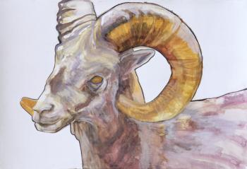 American Long Horn, 2004 (watercolour and acrylic on gesso on paper) | Obraz na stenu