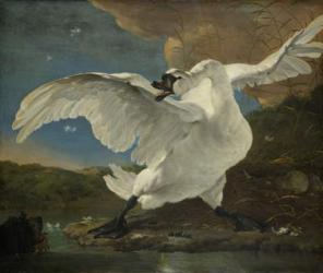 The Threatened Swan, c.1650 (oil on canvas) | Obraz na stenu