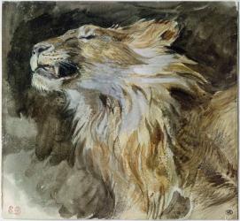 The Head of a Lion (watercolour on paper) | Obraz na stenu