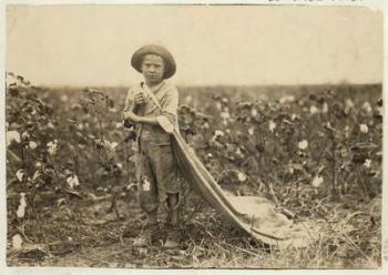 6-year old Warren Frakes with about 20 pounds of cotton in his bag at Comanche County, Oklahoma, 1916 (b/w photo) | Obraz na stenu
