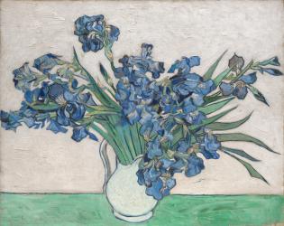 Irises, 1890 (oil on canvas) | Obraz na stenu