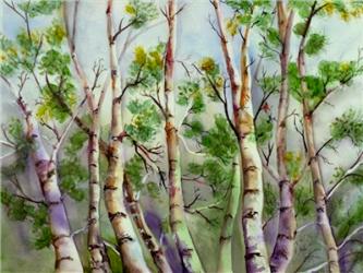 Spring Birches | Obraz na stenu