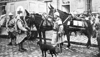 Red Cross wagon during WWI (b/w photo) | Obraz na stenu