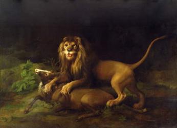 A Lion Attacking a Stag, c.1765 (oil on canvas) | Obraz na stenu