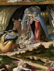 Mystic Nativity, 1500 (oil on canvas) | Obraz na stenu