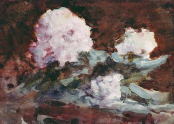 Rhododendrons (watercolour) | Obraz na stenu