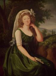 Portrait of the Countess du Barry (1743-93) 1789 (oil on canvas) | Obraz na stenu