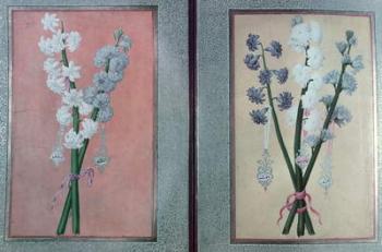T.K.Hazine 413 Two Hyacinths, 1736 (gouache on paper) | Obraz na stenu