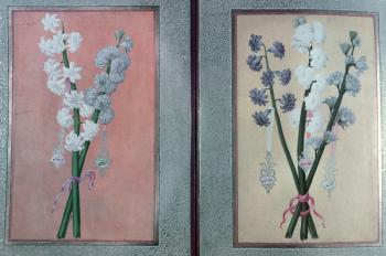 T.K.Hazine 413 Two Hyacinths, 1736 (gouache on paper) | Obraz na stenu