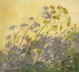 Lovage, Clematis and Shadows, 1999 (oil on canvas) | Obraz na stenu