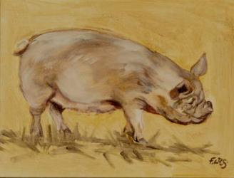 Middlewhite pig, 2016 (oil on canvas) | Obraz na stenu