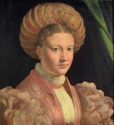 Portrait of a young woman, possibly Countess Gozzadini, c.1530 (panel) | Obraz na stenu