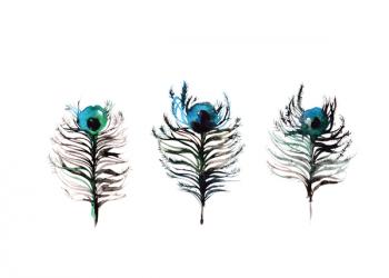 Peacock Feathers Trio, Nature Series, 2017, (watercolour) | Obraz na stenu