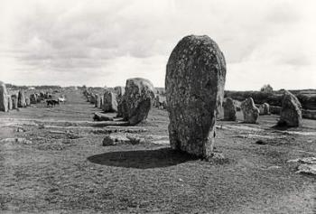 Alignment of Standing Stones, Megalithic, 4th-3rd millennium BC (stone) (b/w photo) | Obraz na stenu