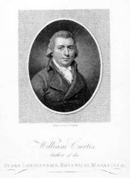 William Curtis, engraved by F. Sansom, 1790 (engraving) | Obraz na stenu