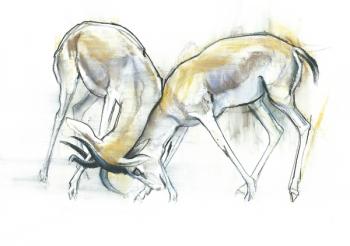 Sand Gazelles, 2009 (conte & charcoal on paper) | Obraz na stenu