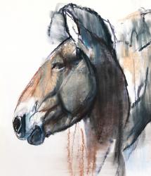 Head Study, Przewalski, 2013, (detail), (pastel and charcoal on paper) | Obraz na stenu