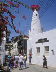 View of Mandhry Mosque (photo) | Obraz na stenu