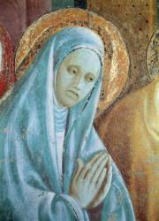 Head of Saint Anne from the Presentation of Mary in the Temple, 1433-34 (fresco) (detail) | Obraz na stenu