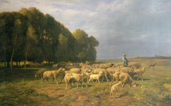 Flock of Sheep in a Landscape (oil on canvas) | Obraz na stenu