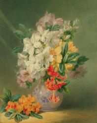 Azaleas, 19th century | Obraz na stenu