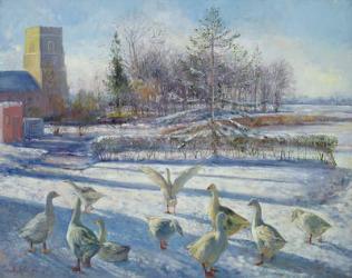 Snow Geese, Winter Morning | Obraz na stenu