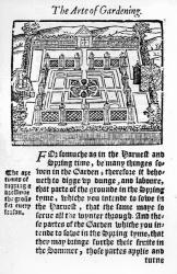 Elizabethan garden from 'The profitable arte of gardening', 1568 (woodcut) | Obraz na stenu