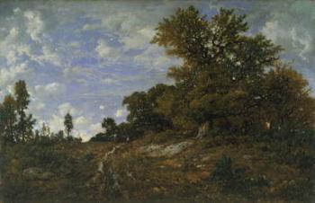The Edge of the Woods at Monts-Girard, Fontainebleau Forest, 1852-54 (oil on wood) | Obraz na stenu