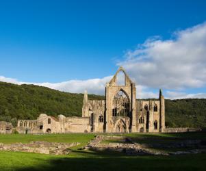 Tintern Abbey, Wales, United Kingdom (photo) | Obraz na stenu