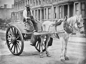 The Water-Cart, 1877 (b/w photo) | Obraz na stenu