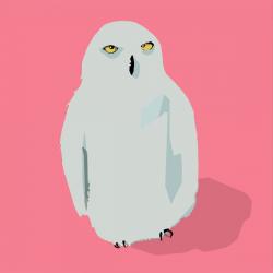 Owl | Obraz na stenu