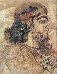 Head of a bearded man, from Tell-Ahmar, Syria (fresco) | Obraz na stenu