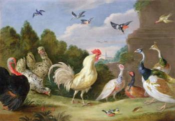 Wooded Landscape with a Cock, Turkey, Hens and other Birds, 17th century (oil on canvas) | Obraz na stenu