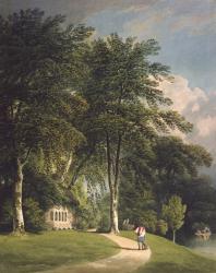 Stourhead, Wilts (oil on canvas) | Obraz na stenu