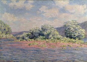 The Seine at Port-Villez, c.1890 (oil on canvas) | Obraz na stenu