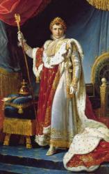 Napoleon I in his coronation robe, c.1804, | Obraz na stenu