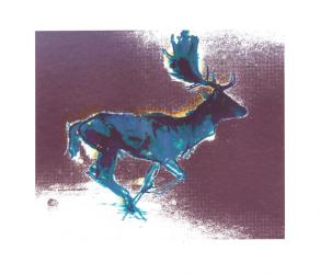 Fallow Buck (blue/yellow shadow), 2015, (screen print) | Obraz na stenu