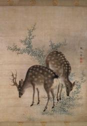 Deer grazing, c.1790 (watercolour on silk) | Obraz na stenu