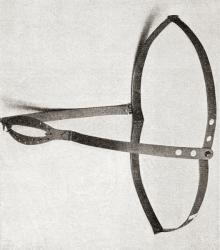 15th century iron chastity belt. From Illustrierte Sittengeschichte vom Mittelalter bis zur Gegenwart by Eduard Fuchs, published 1909. | Obraz na stenu