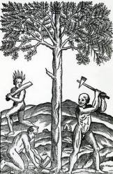 Tree cutting, illustration from 'Singularities of France Antarctique', by Andre de Thevet, 1558 (woodcut) | Obraz na stenu