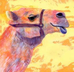 Camel, 1994, (ink and gouache) | Obraz na stenu