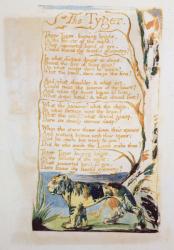 The Tyger, from Songs of Innocence | Obraz na stenu