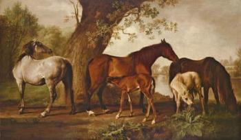 Mare and Foals (oil on canvas) | Obraz na stenu