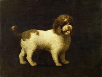 A Water Spaniel, 1769 (oil on canvas) | Obraz na stenu