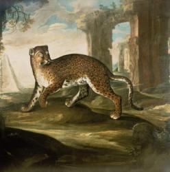 A Jaguar | Obraz na stenu