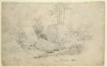 Boulders in Woodland, 1800 (pencil on paper) | Obraz na stenu