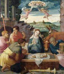 Adoration of the Shepherds, Champagne School, c.1520-30 (oil on canvas) | Obraz na stenu